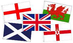 Best Selling Courtesy Flags
